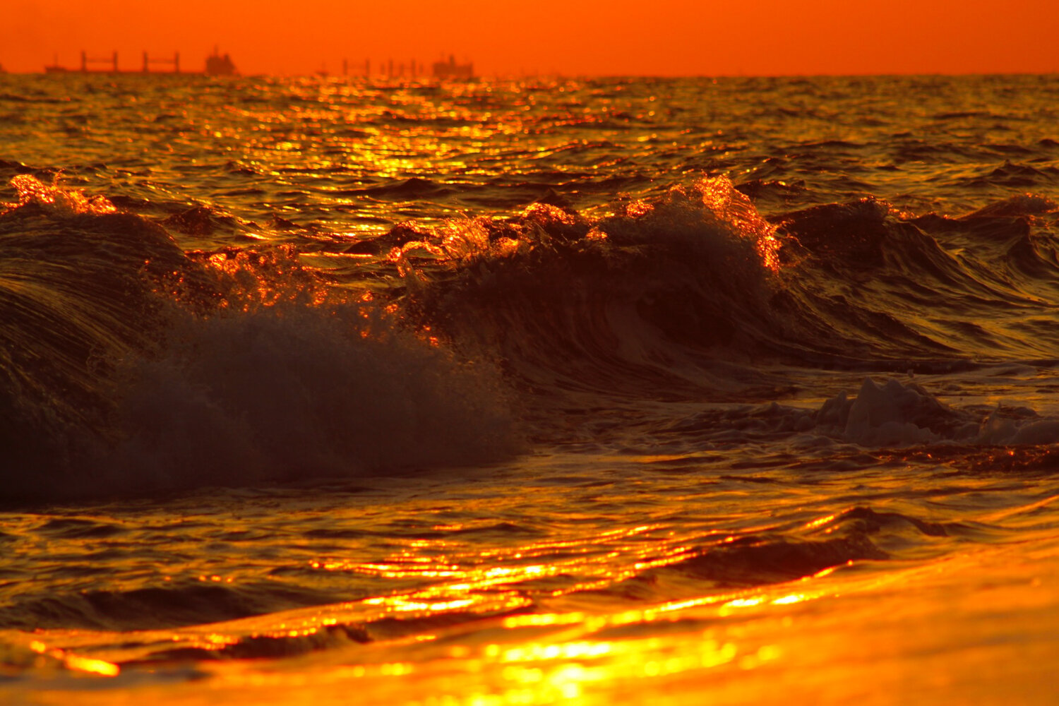Photo #13138562