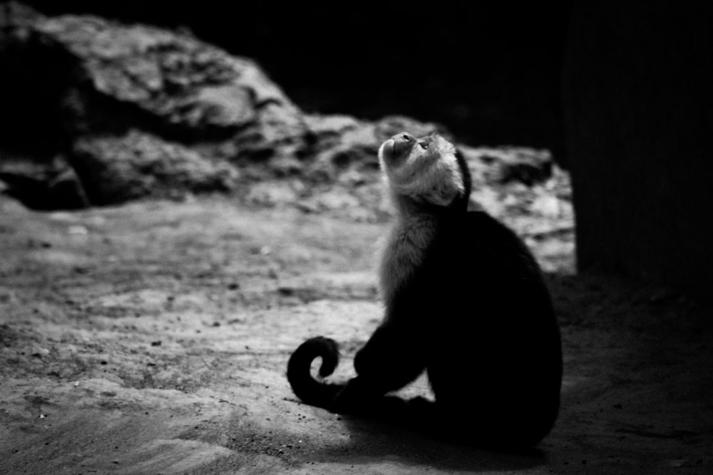 Photograph by Alejandra