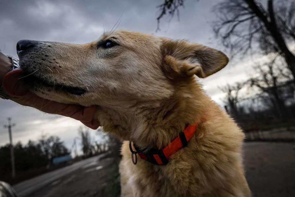 Photograph by Денис Лобов