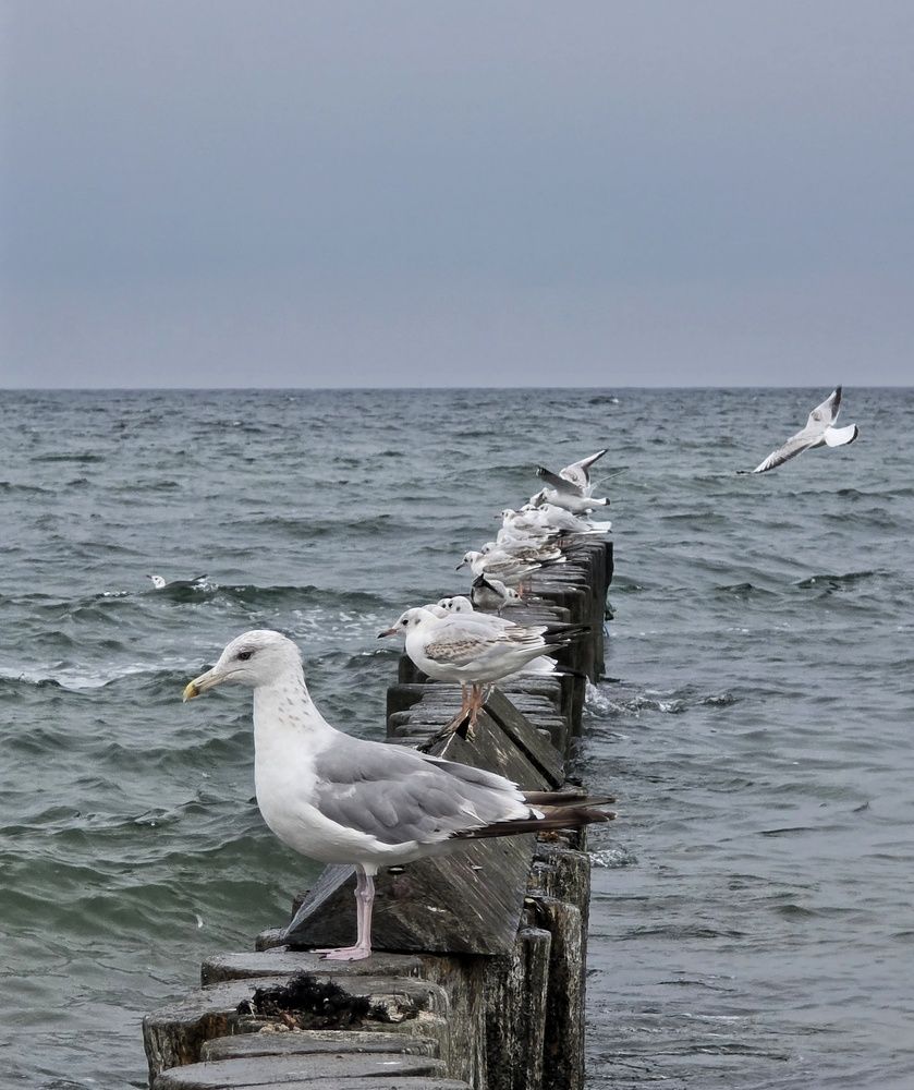 Photograph by Наталья Трофимова