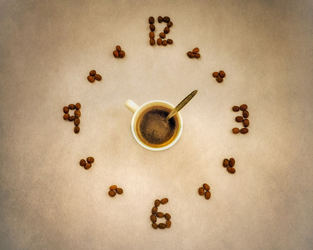 Horologium Vitae