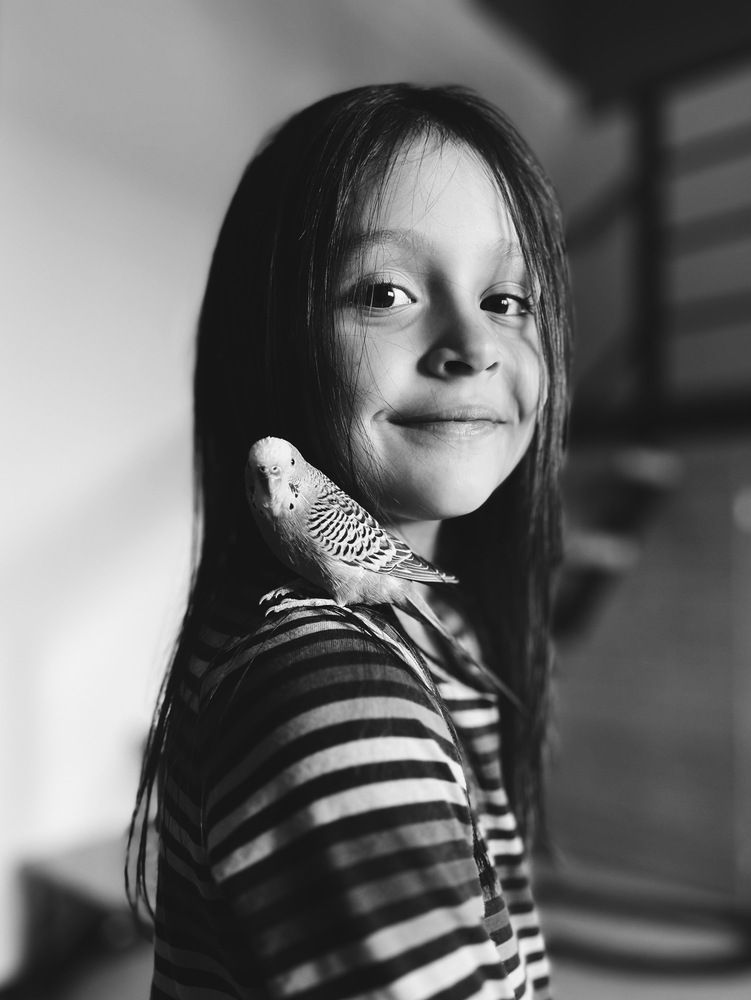 Photo #13138668