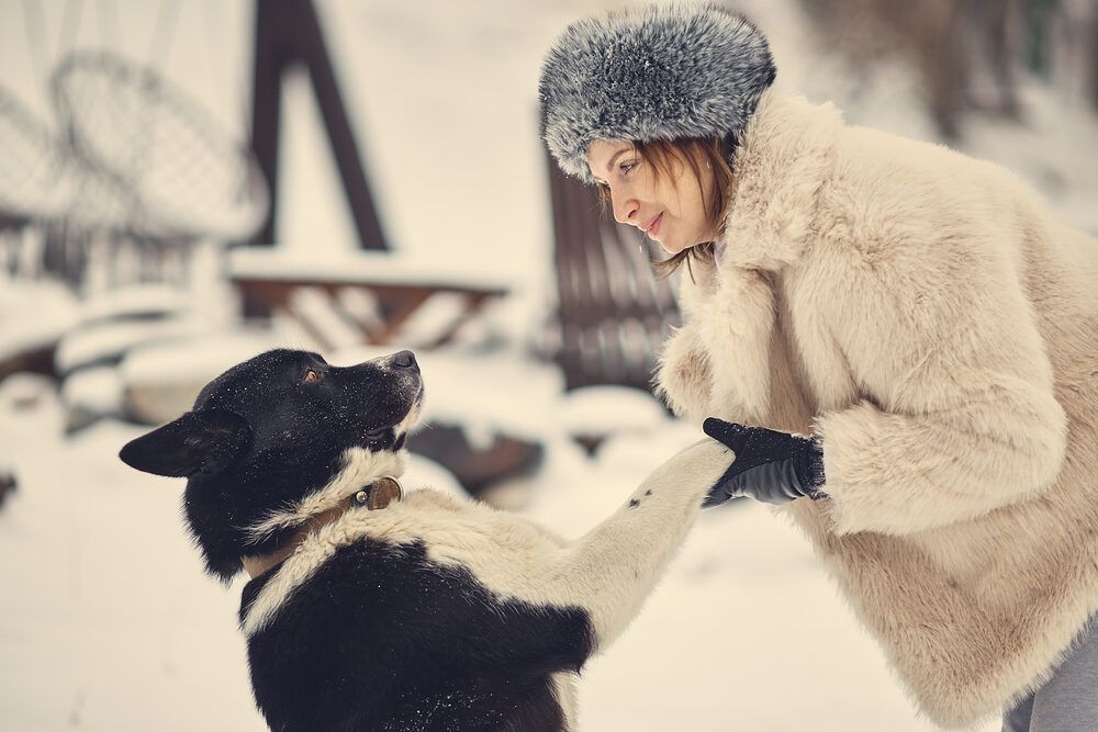 Photograph by Сергей Сысалов