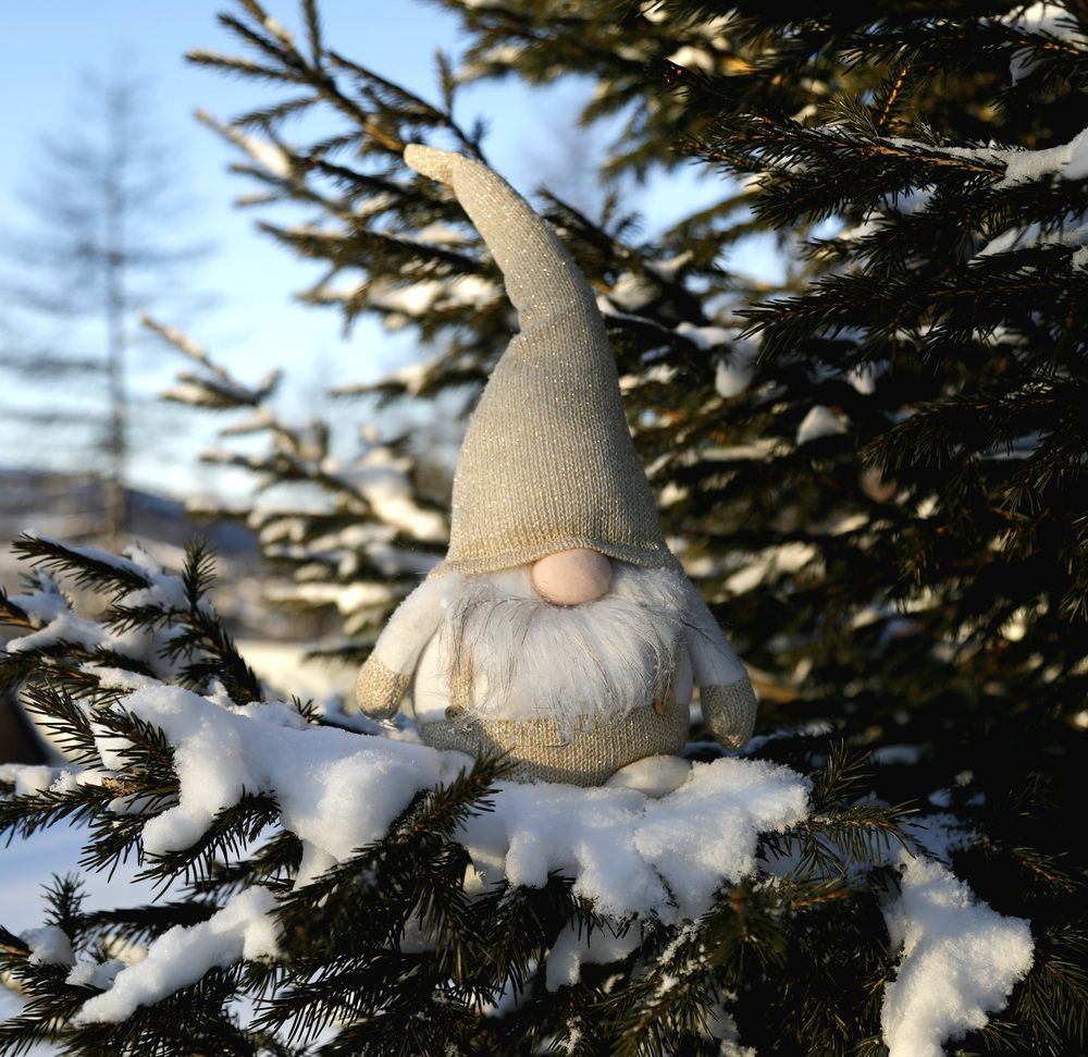 Photograph by Лариса Ким