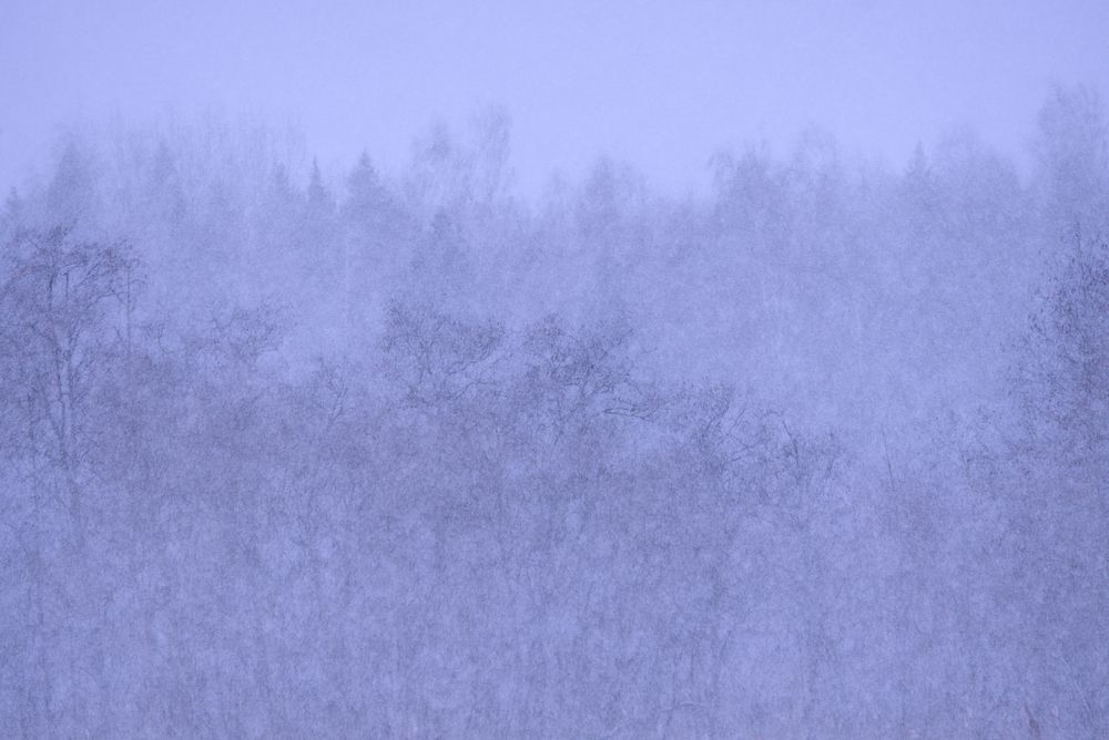 Photograph by Николай Потапов