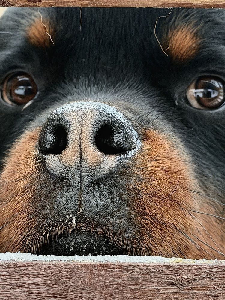 Photograph by Юлия Конопелкина