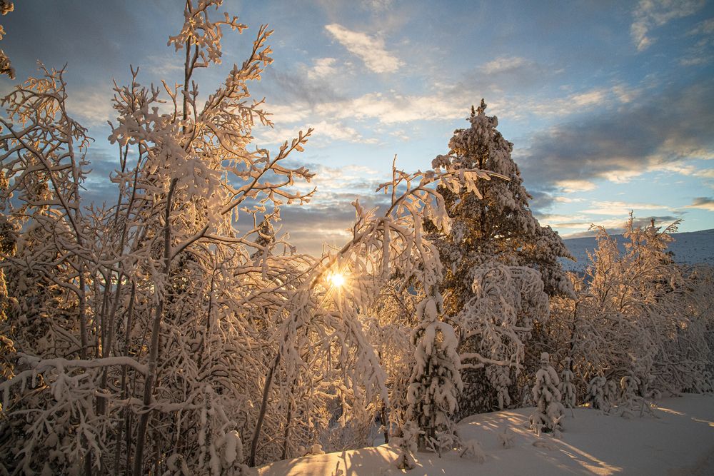 Photograph by Юрий Платухин