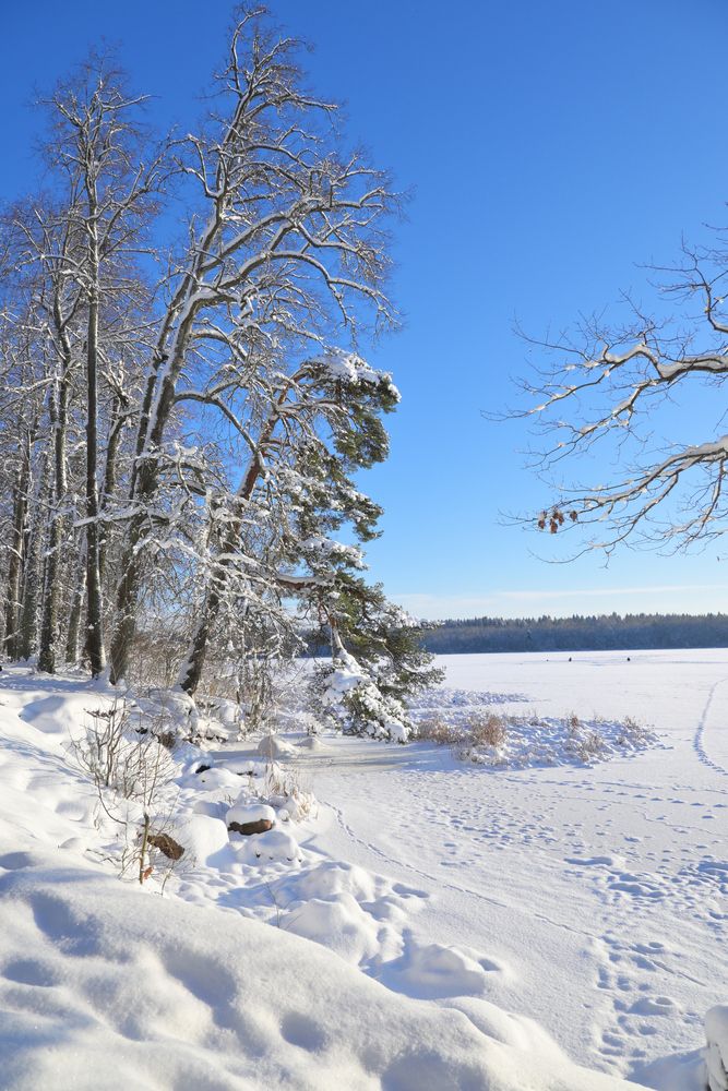 Photograph by Максим Мицун