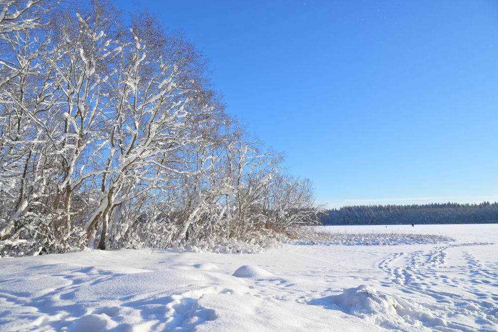 Photograph by Максим Мицун