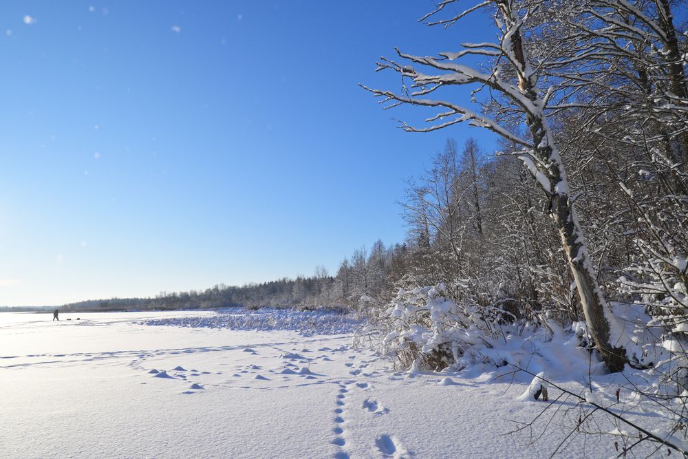 Photograph by Максим Мицун