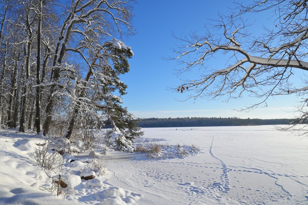 Photograph by Максим Мицун