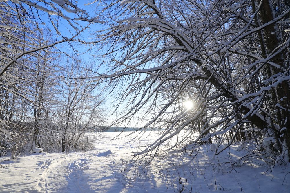 Photograph by Максим Мицун