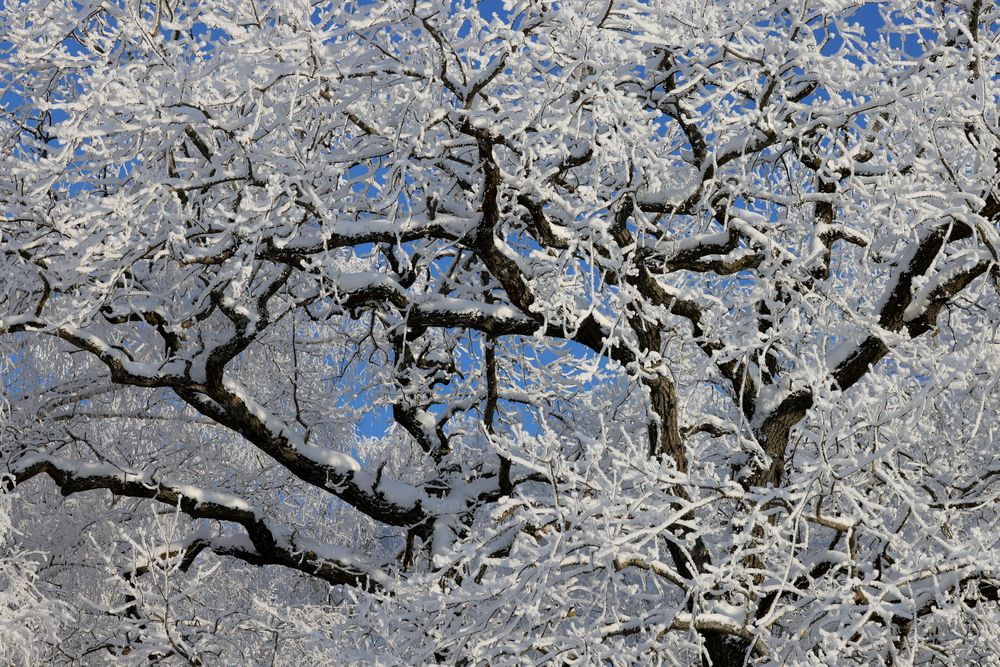 Photograph by Сергей Зорин