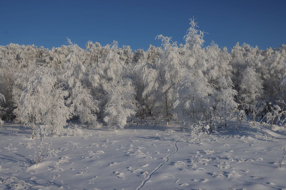Photograph by Сергей Зорин