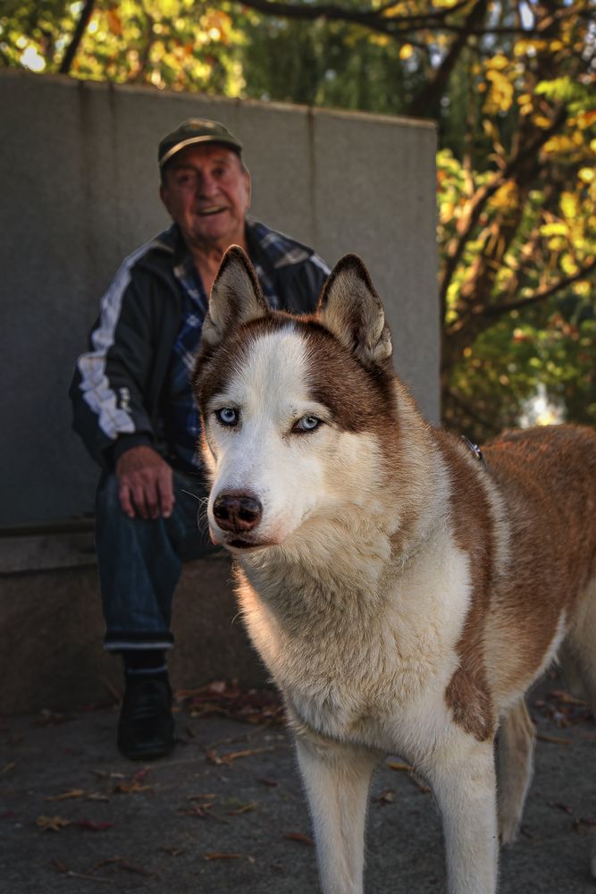 Фотография автора Denis Cristian