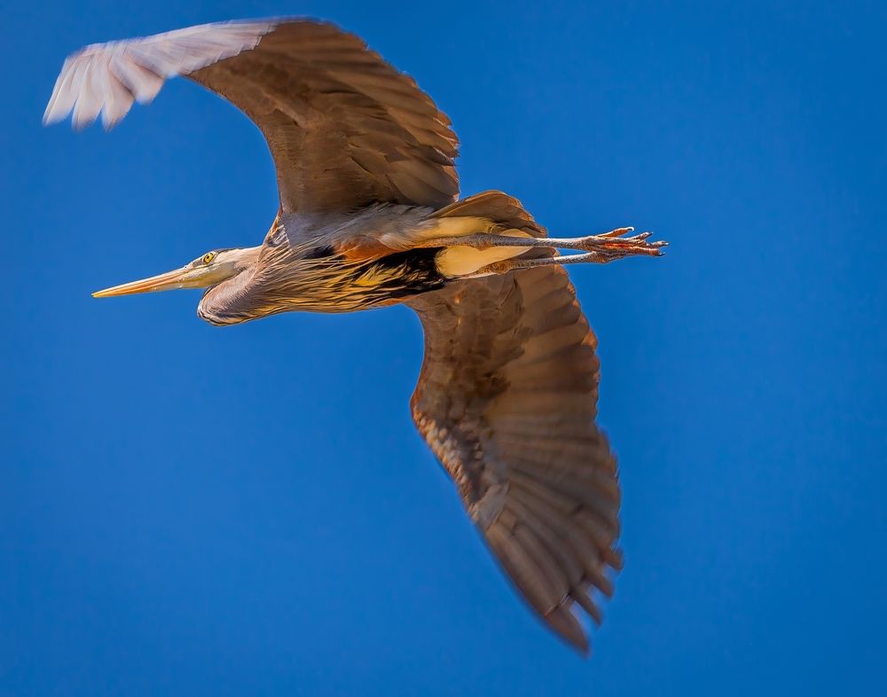 Photograph by Эльчин