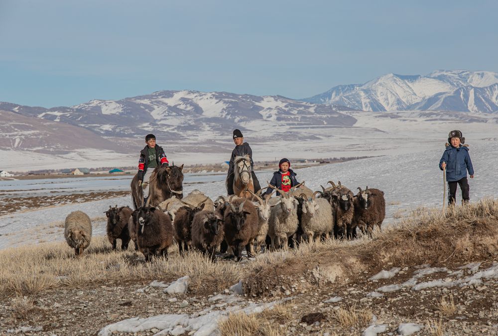 Photograph by Елена Павлова