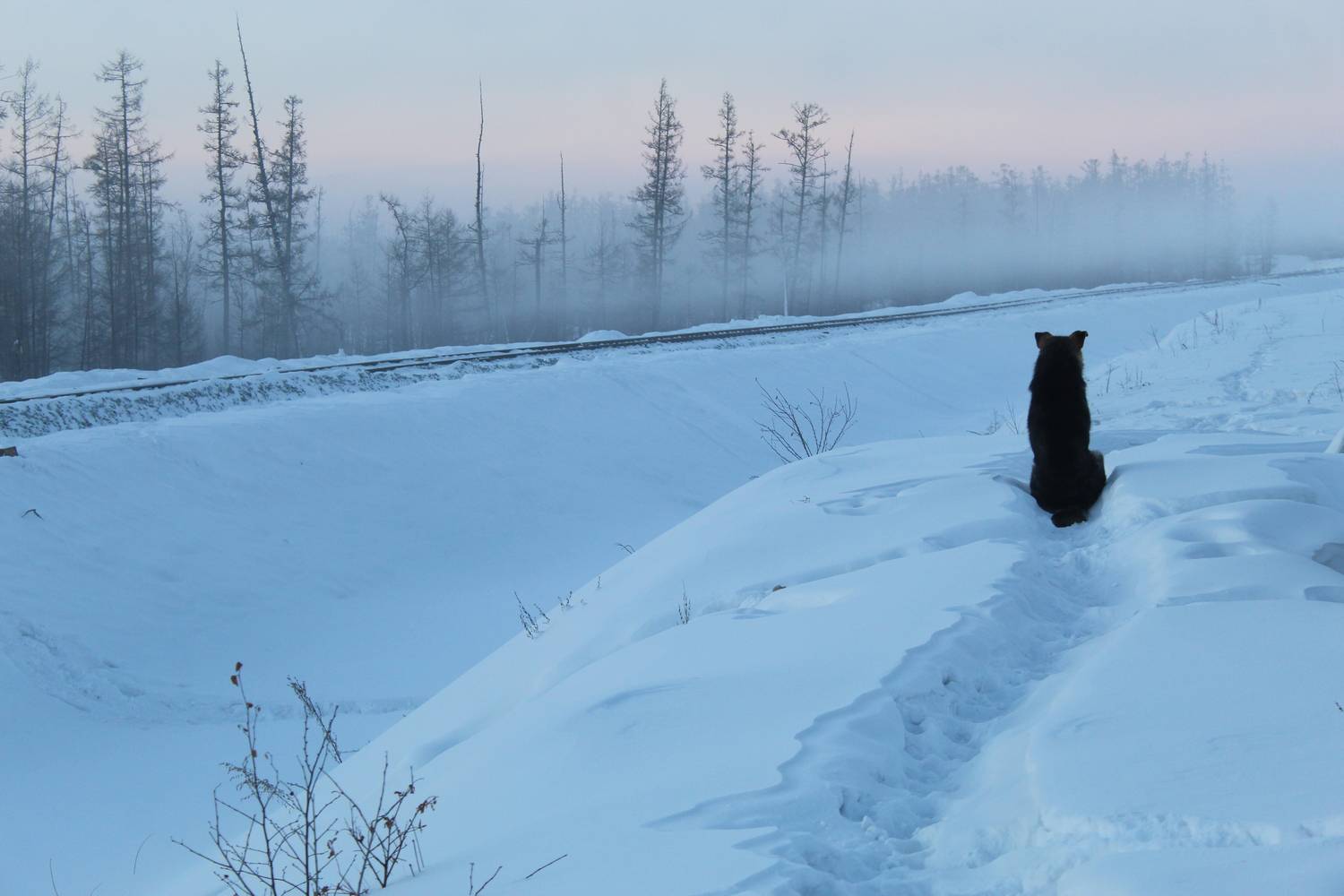 Photo #13138965