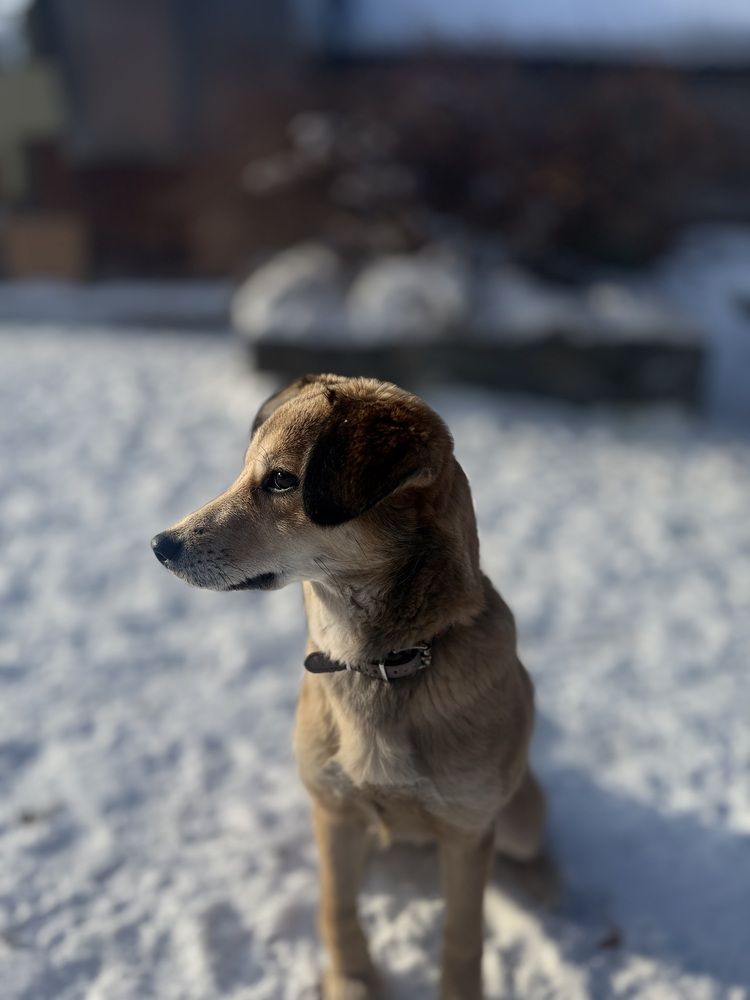 Фотография автора Оксана Фадеева