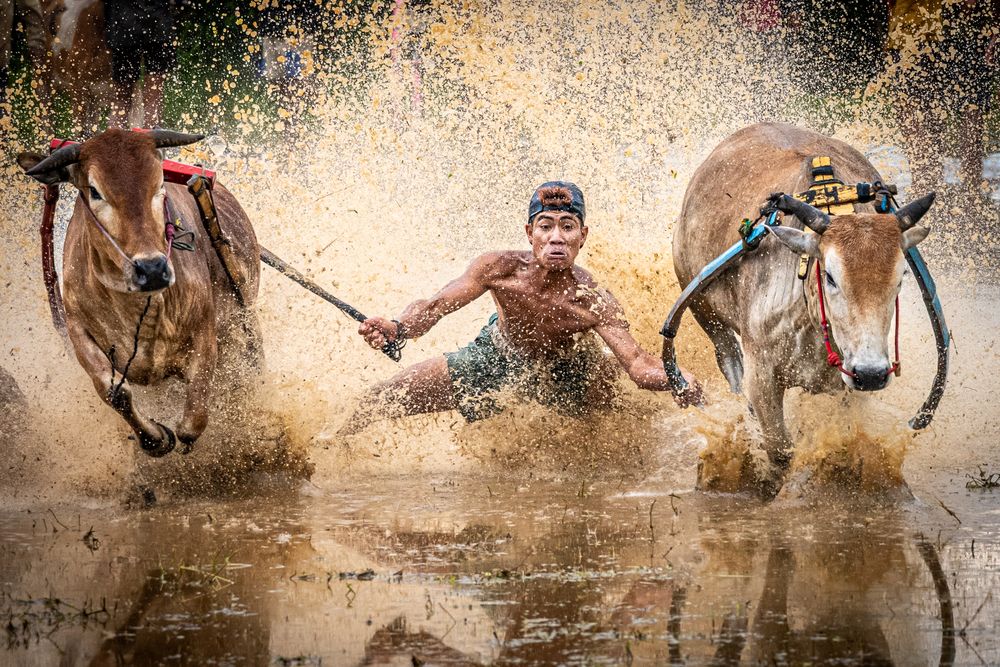 Фотография автора Ali Khataw