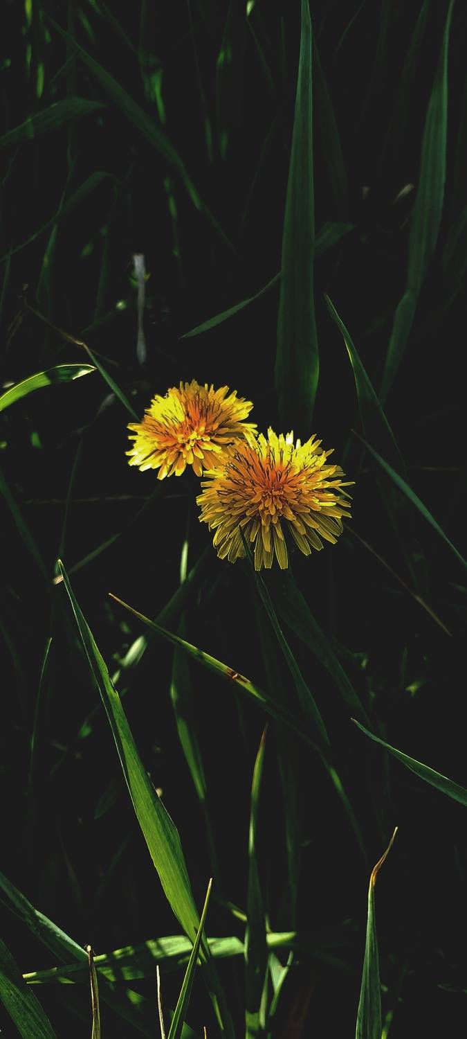 Photo #13139064