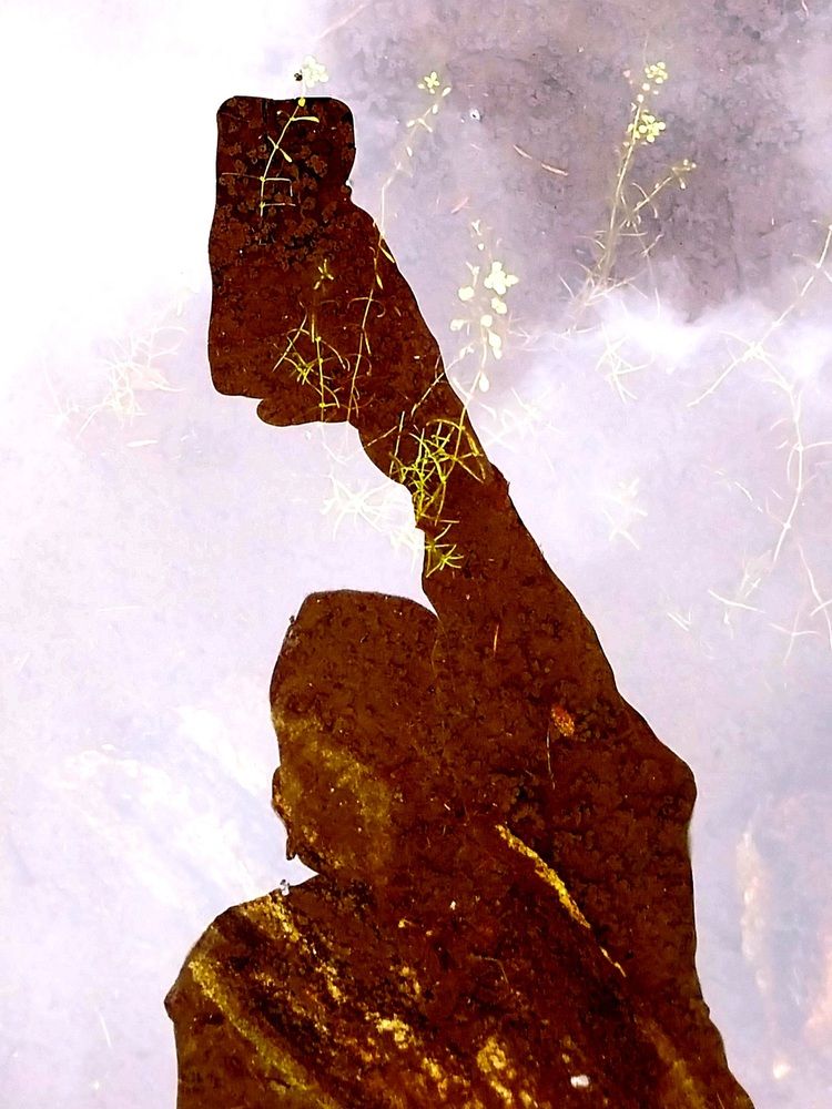 Photograph by Rahul Raman