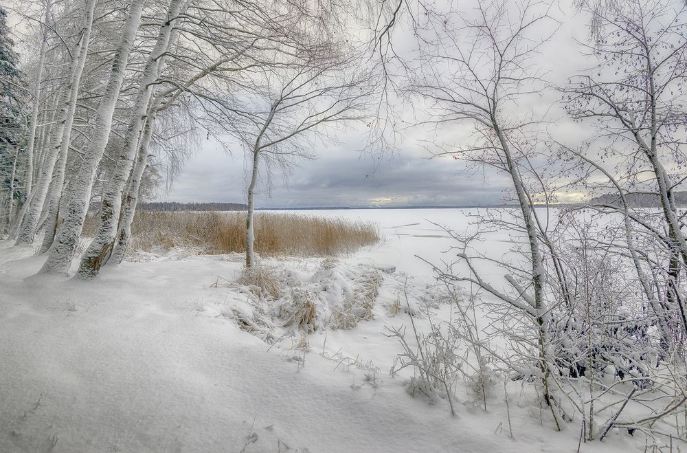 Photograph by Сергей Аникин