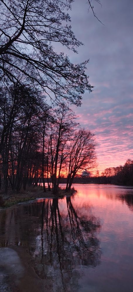 Photograph by Герман Шавин