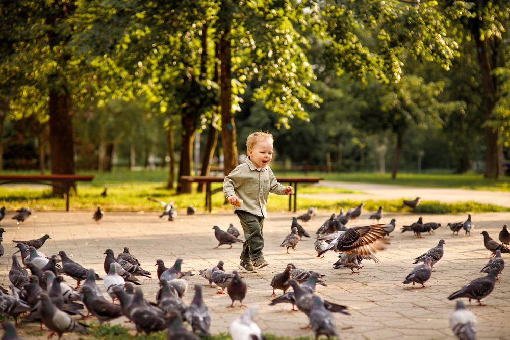 Photograph by Елена Седова
