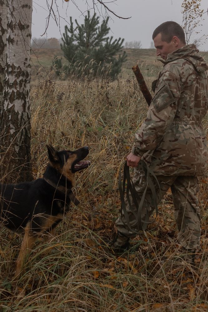 Photograph by Надежда Соболевская