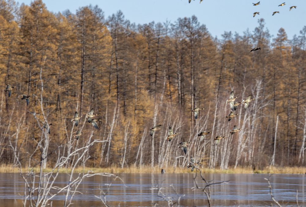 Photograph by Попов Альберт