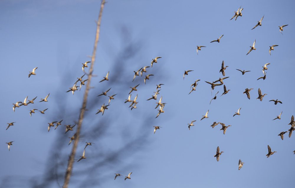 Photograph by Попов Альберт