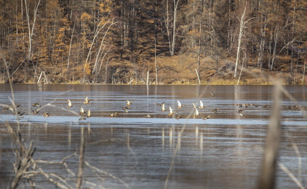 Photograph by Попов Альберт