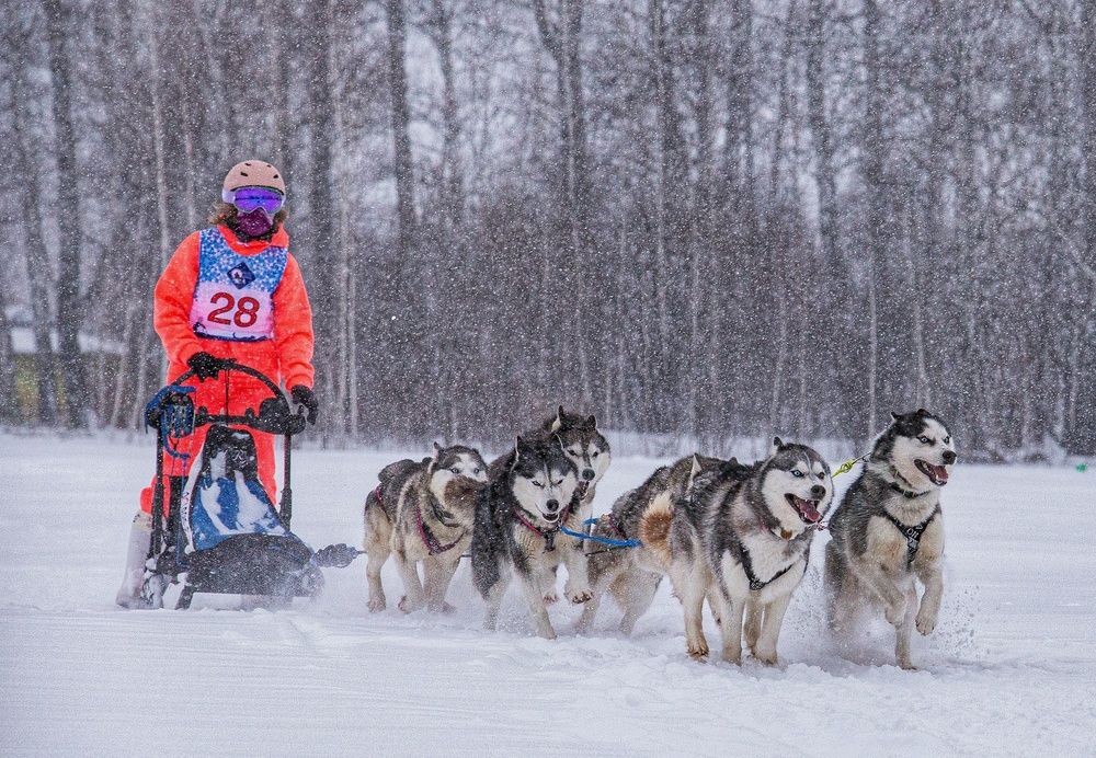 Photograph by Елена Павлова