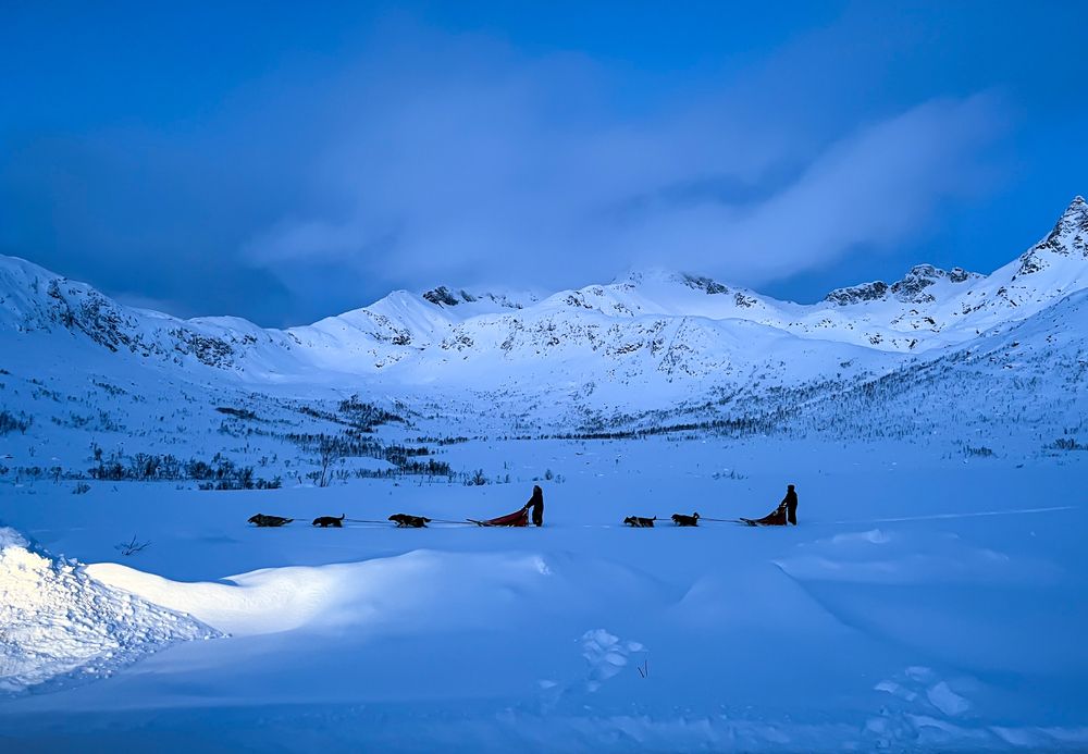 Photo #13139239