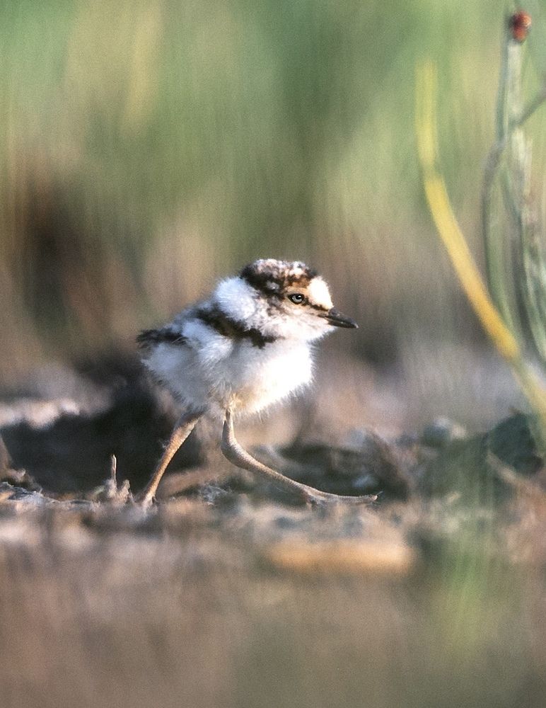 Photograph by Andrey