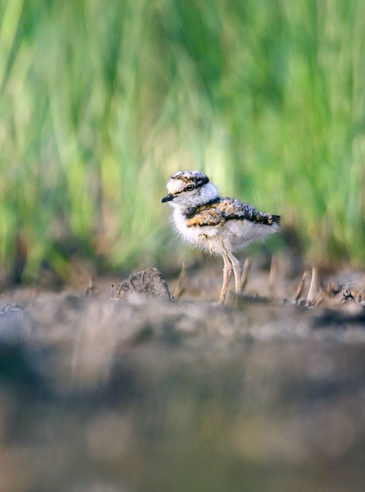 Photograph by Andrey