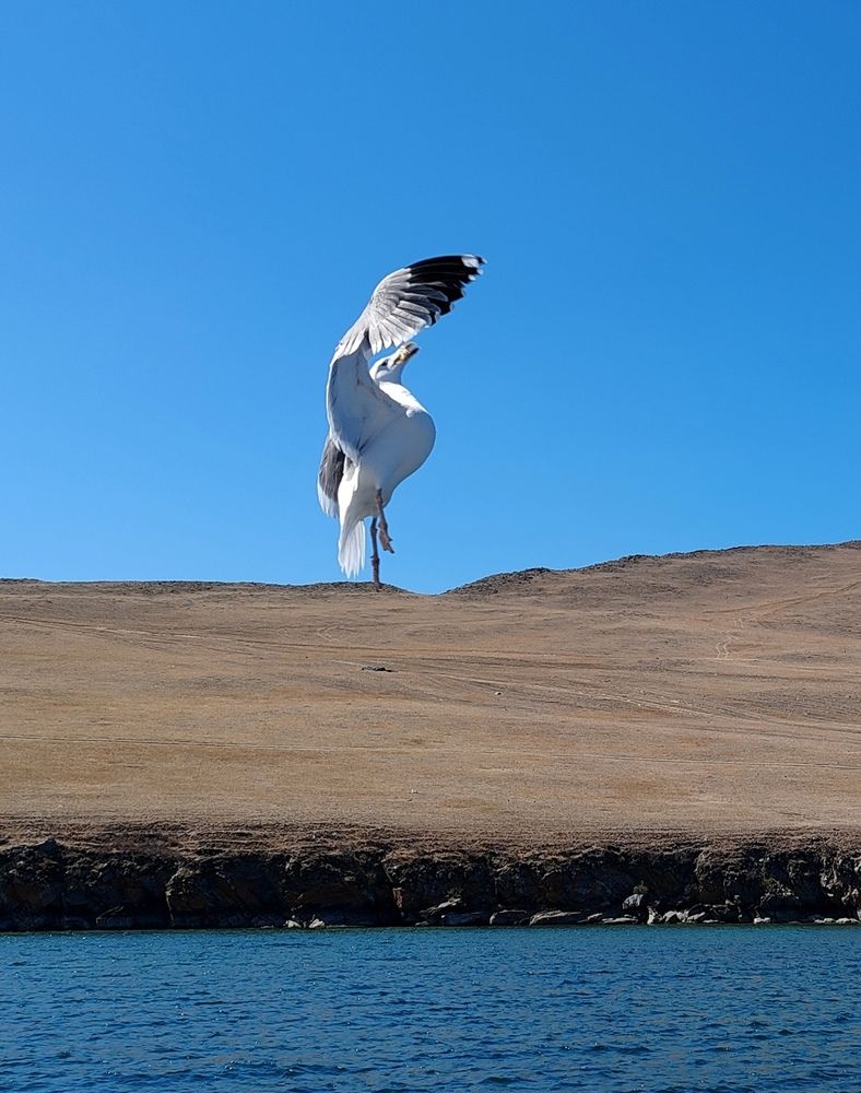 Photograph by Алёна Гильмуллина