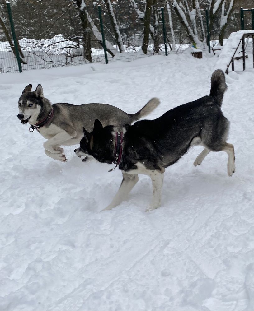 Photograph by Елена Одынец