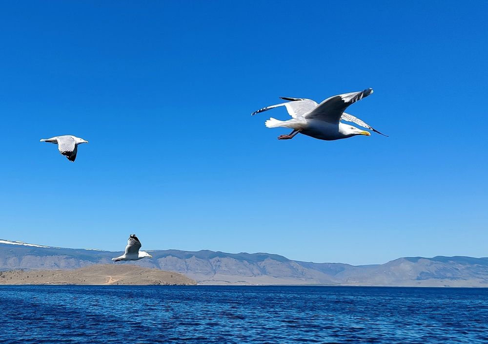 Photograph by Алёна Гильмуллина