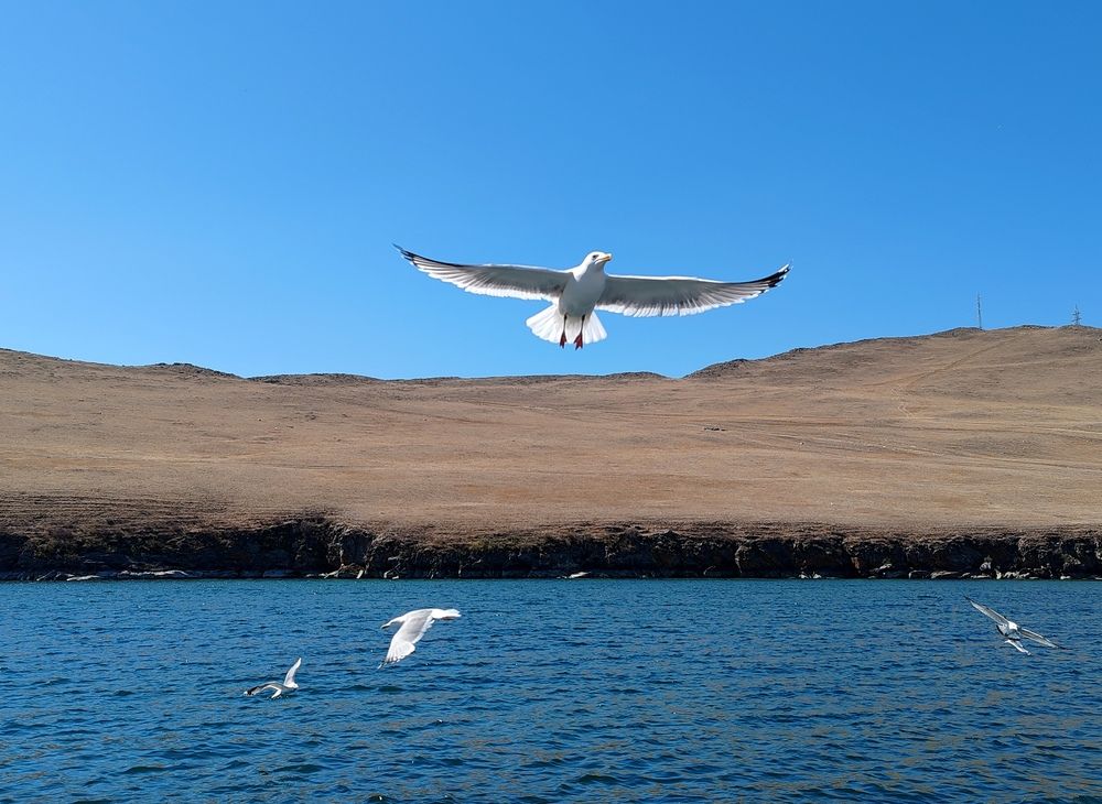 Photograph by Алёна Гильмуллина