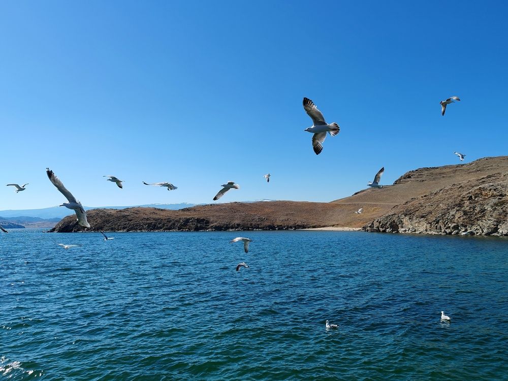 Photograph by Алёна Гильмуллина