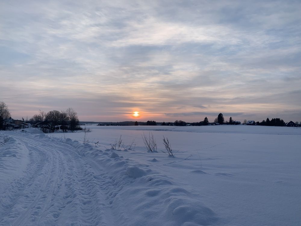 Photograph by Елена