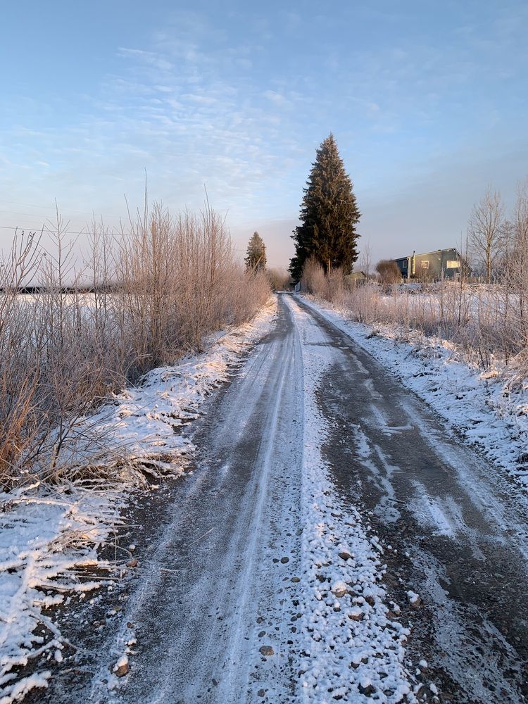 Photograph by Елена