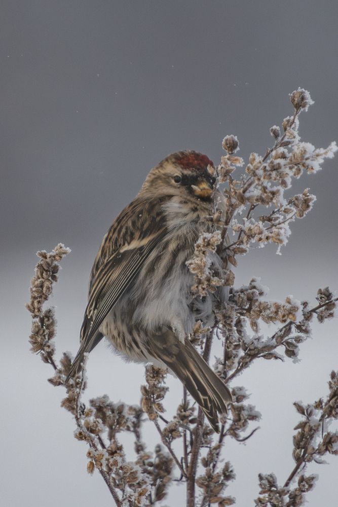 Photograph by Высотских Владимир