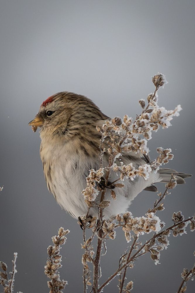 Photograph by Высотских Владимир