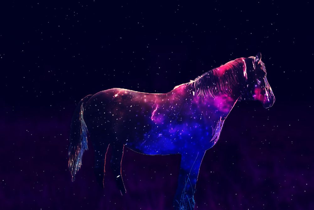 Photograph by Руслана Ковалевская