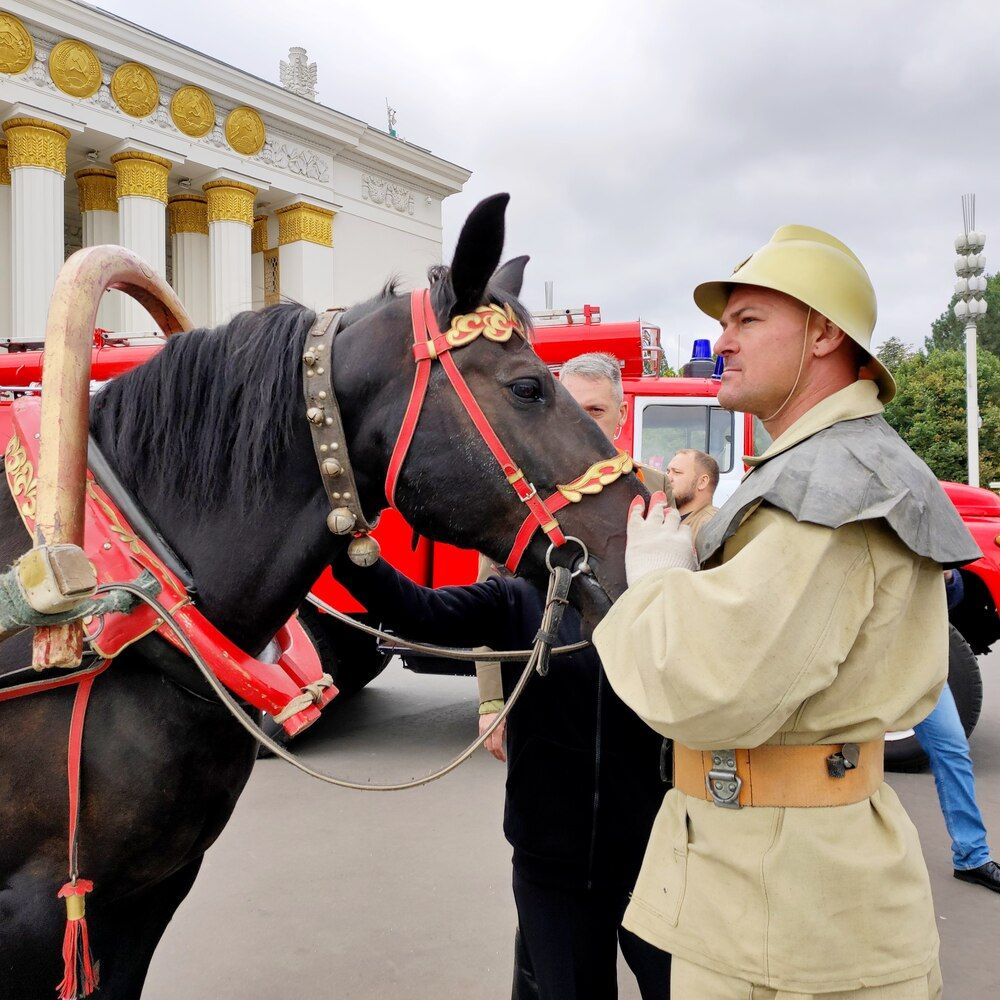 Photograph by Елена Казарина