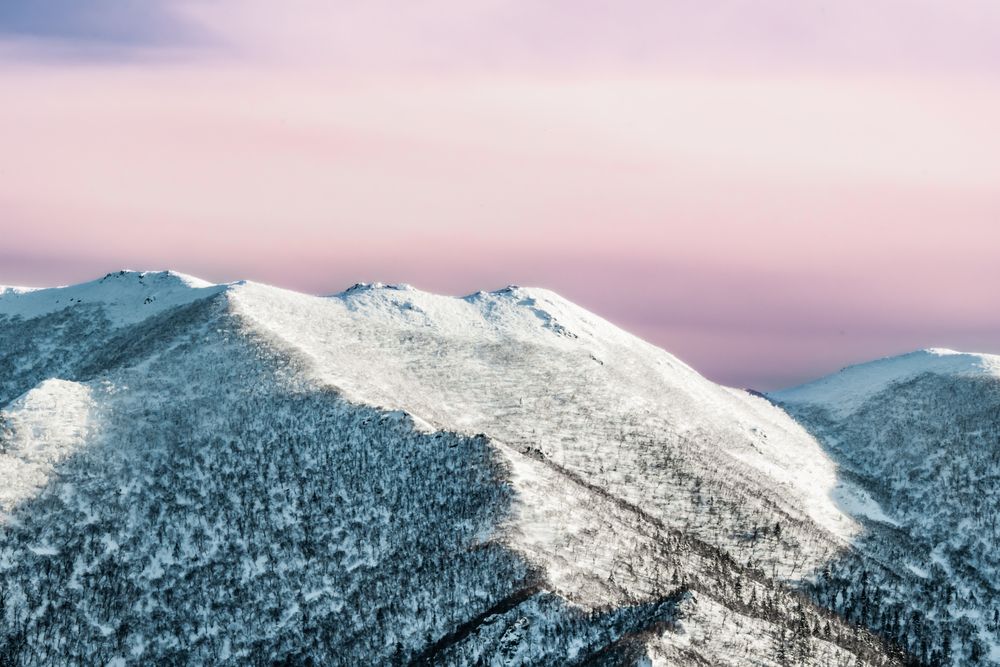 Фотография автора Павел Ващилов