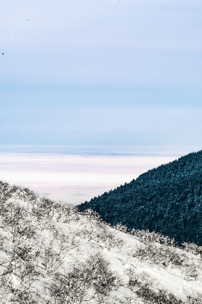 Фотография автора Павел Ващилов